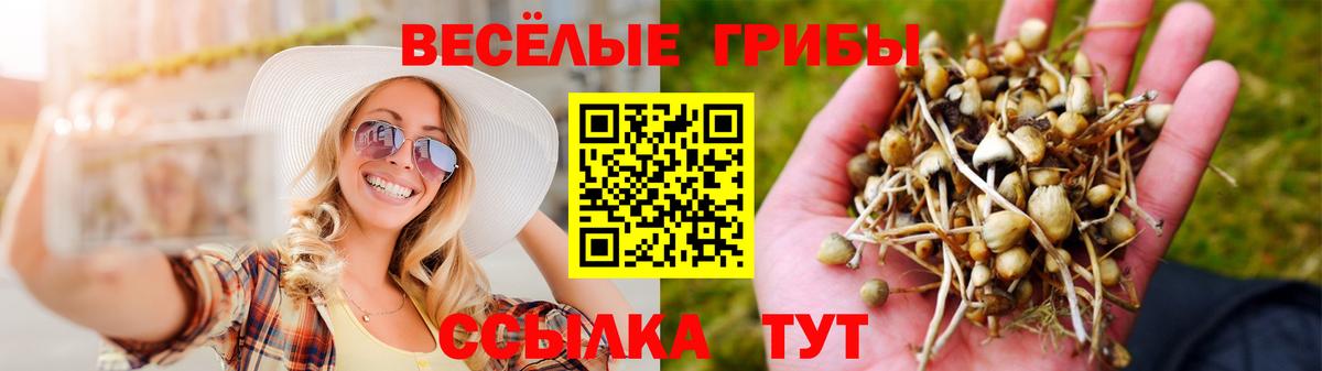 Петрозаводск  Галлюциногенные грибы Magic Shrooms  Вход с VPN 